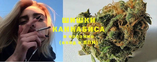спайс Баксан